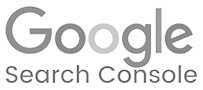 Google Search