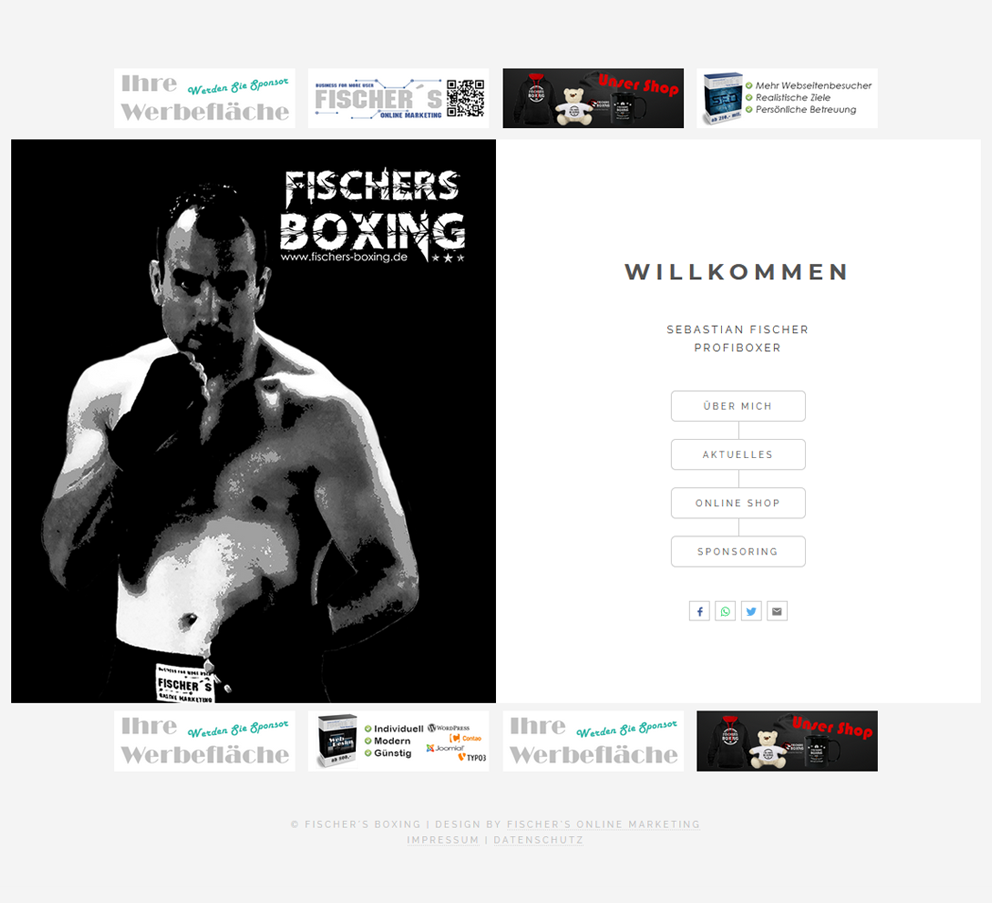 Webdesign Profiboxer