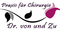 Logo Schönheitschirurgen SEO Webdesign